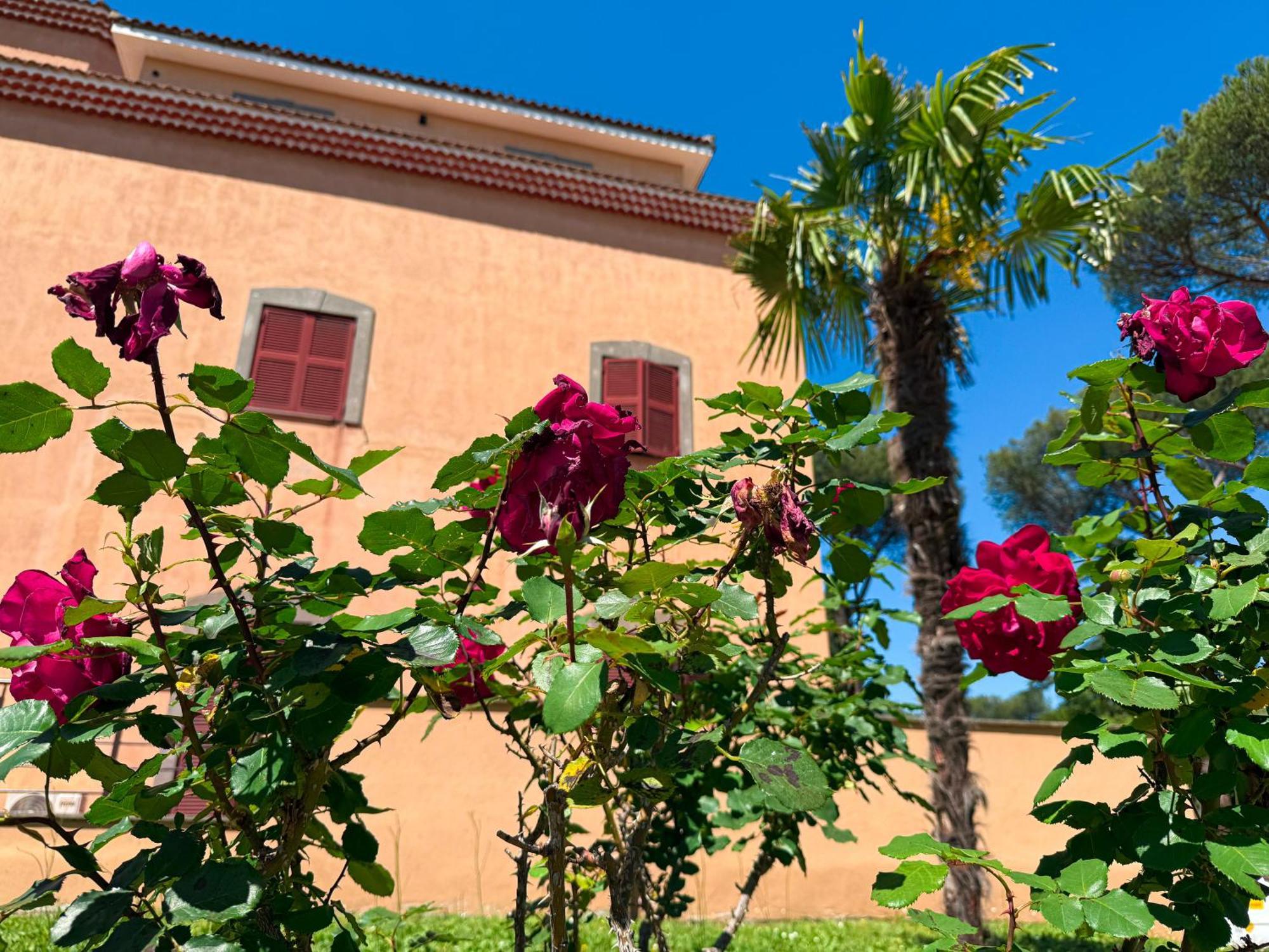 Villa Due Leoni - Casa Per Ferie — Φωτογραφίες 3